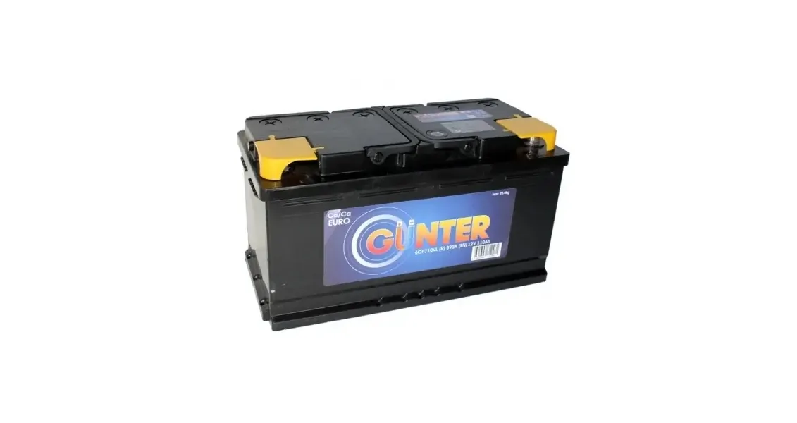 SOLITE-6ST-gruzovyGUNTER-EAZ-6ST-800-132